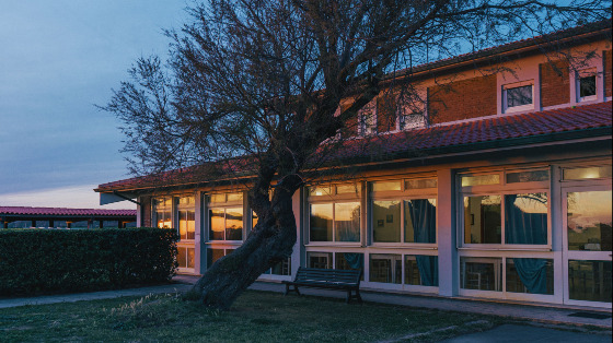 Il giardino sul mare