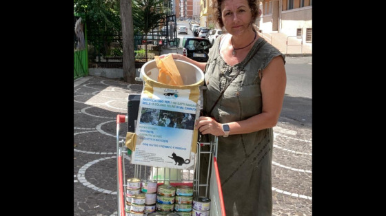 Raccolta cibo per i mici delle colonie feline di Val Cannuta