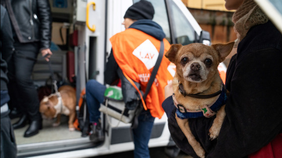 Viva gli anziani con animali