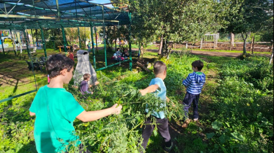 Salviamo il Verde!