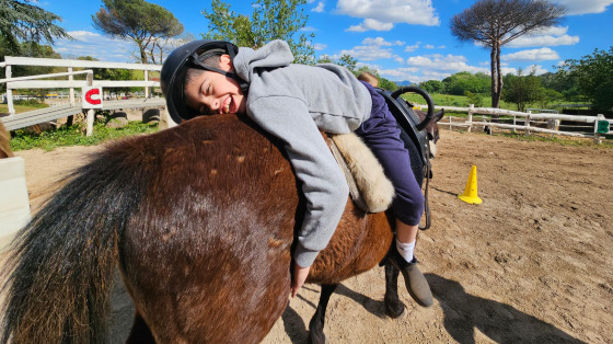 Accudisci i cavalli e gli altri piccoli animali di Ciampacavallo!