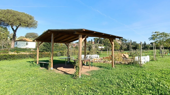 Allestiamo insieme le zone d’ombra e i gazebi della nostra azienda agricola! Ti va di darci una mano?