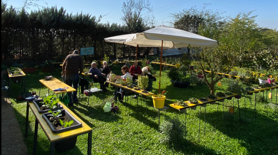 Cura e manutenzione del giardino del Centro diurno Alzheimer "San Giuseppe"