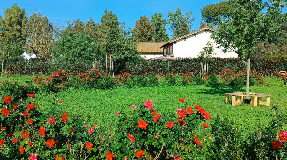 Allestiamo insieme le zone d’ombra e i gazebi della nostra azienda agricola! Ti va di darci una mano?