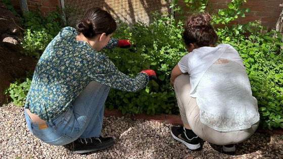 Supporta la Biblioteca Interculturale e il suo giardino; un luogo di incontro fra culture e migranti